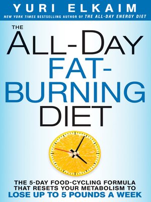 cover image of The All-Day Fat-Burning Diet